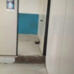 13b83373b8774cf2ae05c686febd2feb