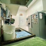 Imagem do WhatsApp de 2025-06-19 à(s) 00.49.12_935fd17c